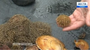 «Терминал Астафьева» реализует программу по экологическому мониторингу порта